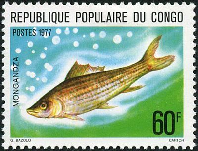 1977 - Рыбы 