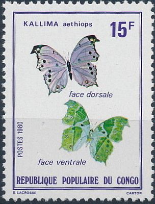 1980 - Бабочки