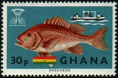 1966 г. - Рыбы
