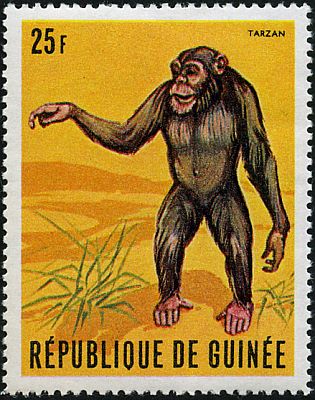 1969 - Шимпанзе 