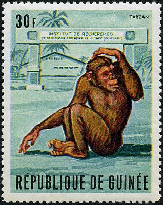 1969 - Шимпанзе 