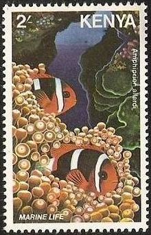 1980 г. - Фауна моря 