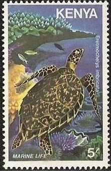 1980 г. - Фауна моря 