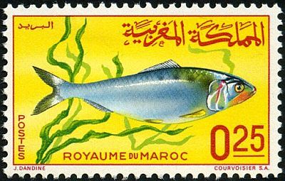 1967 - Рыбы  
