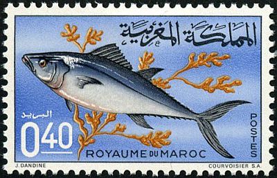 1967 - Рыбы