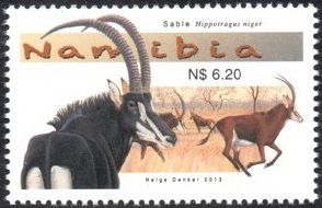 2013 -  Антилопы  